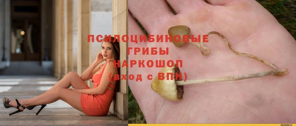 стаф Абинск