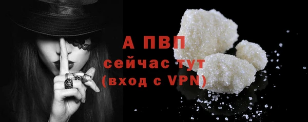 стаф Абинск