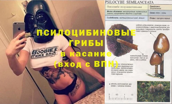 стаф Абинск