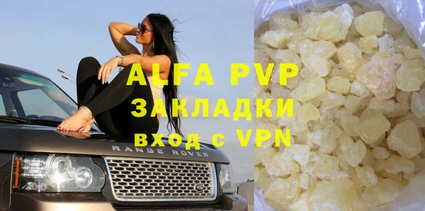 стаф Абинск