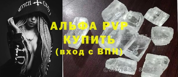 стаф Абинск